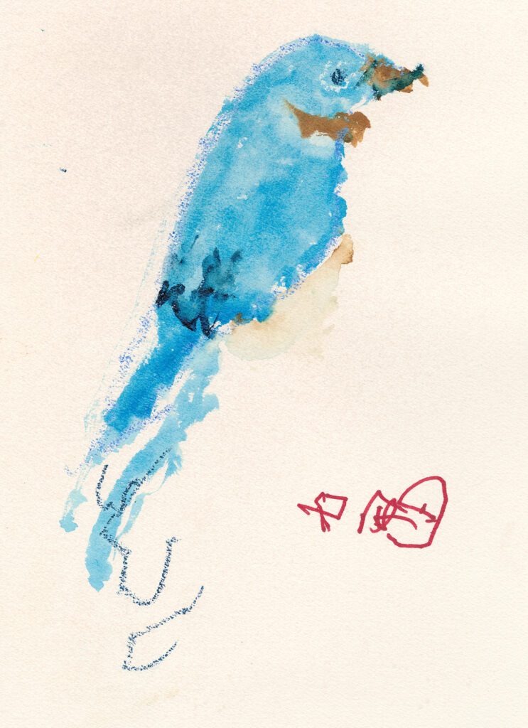 Watercolor of a bluebird by Pedro Dailey